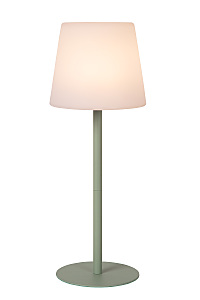 Настольная лампа Tyon 13816/02/33