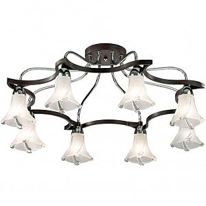 Потолочная люстра Iwo 2237/8C