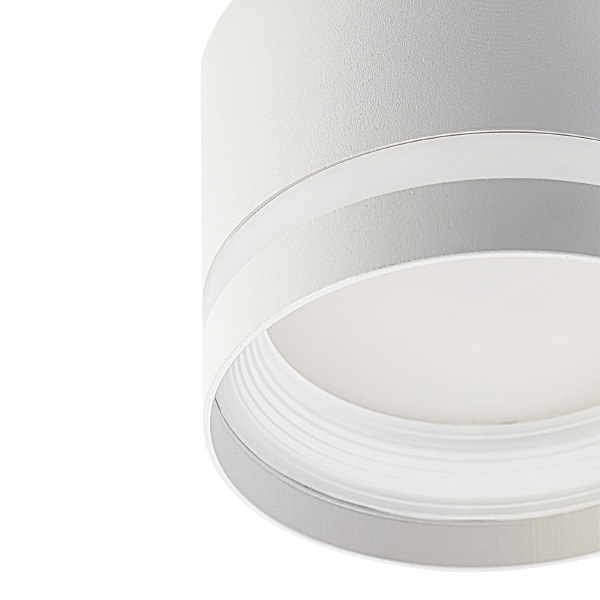 Накладной светильник Hardy CL002C10