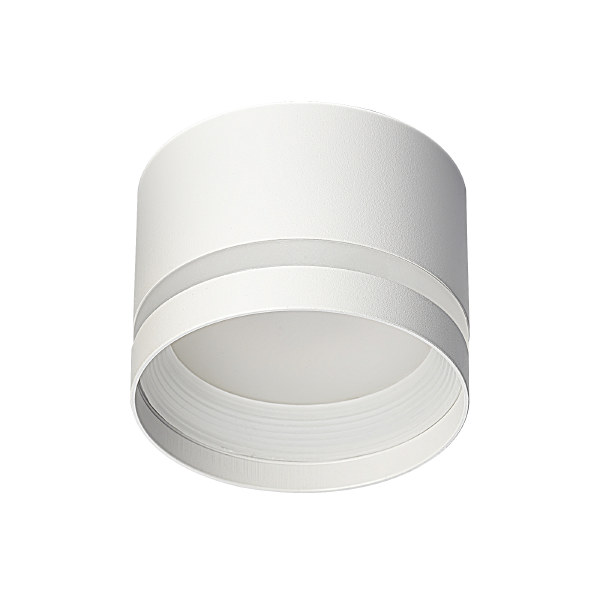 Накладной светильник Hardy CL002C10