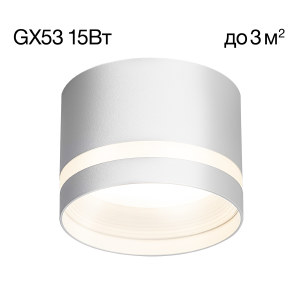 Накладной светильник Hardy CL002C10