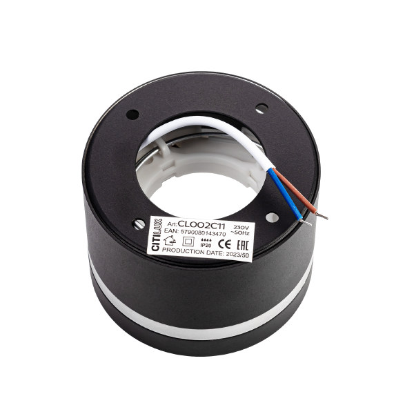 Накладной светильник Hardy CL002C11