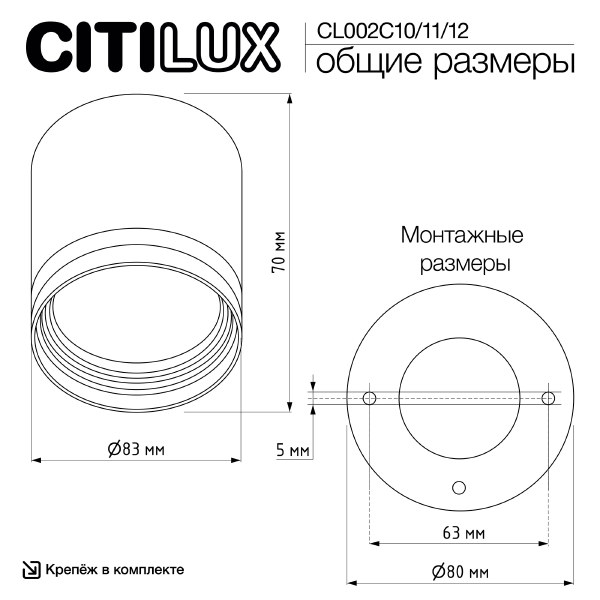 Накладной светильник Hardy CL002C12