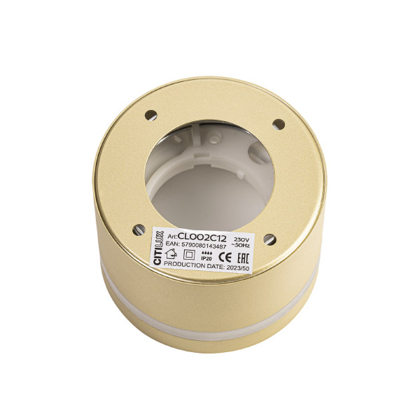 Накладной светильник Hardy CL002C12