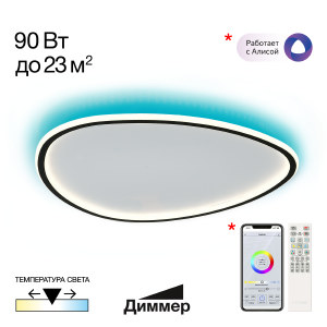 Потолочная люстра Тrio CL215B261E