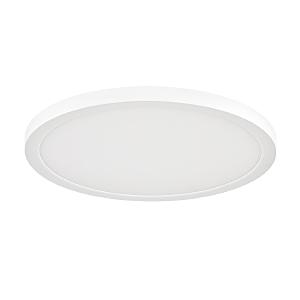 Светильник потолочный Nebula 7754/24L