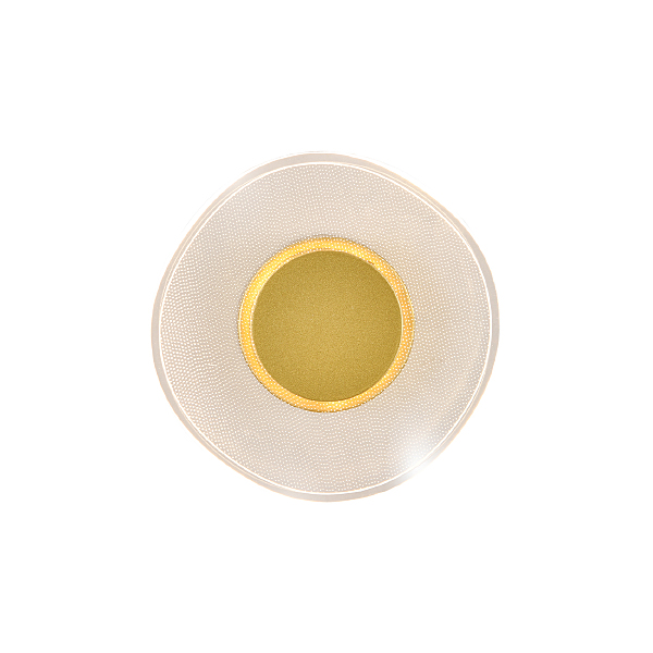 Настенный светильник Veletta V000165L 14029/1W Gold