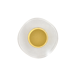 Настенный светильник Veletta V000165L 14029/1W Gold