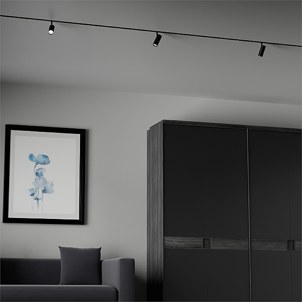 Трековый светильник Startrek 220 LE169TRS-10B WIFI