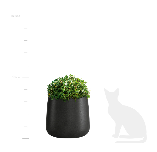 Декоративный светильник Cone CONE NERO