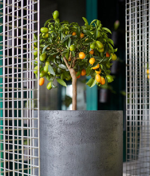 Декоративный светильник TOPPER TOPPER NERO