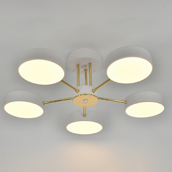Потолочная люстра Rune 10262/5LED