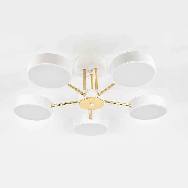 Потолочная люстра Rune 10262/5LED