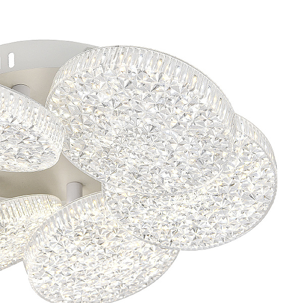 Потолочная люстра Agata 10278/6LED