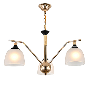 Подвесная люстра Actinidia 2123/3P