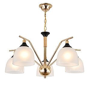 Подвесная люстра Actinidia 2123/5P