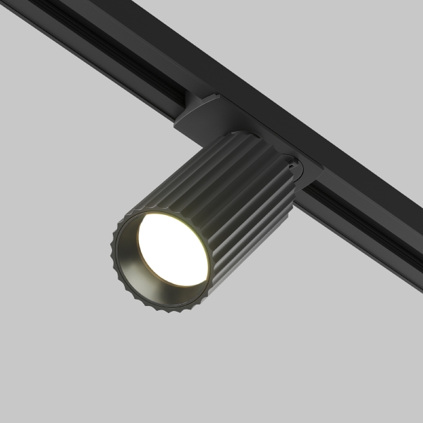 Трековый светильник Calipso TR218-1-GU10-BK