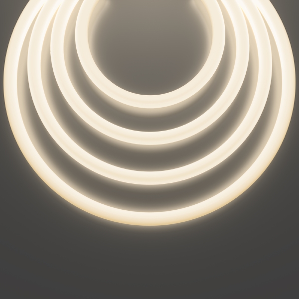 Светодиодный шнур Круглый 360 20307