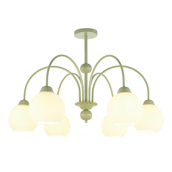 Потолочная люстра Flora MR2271-6C