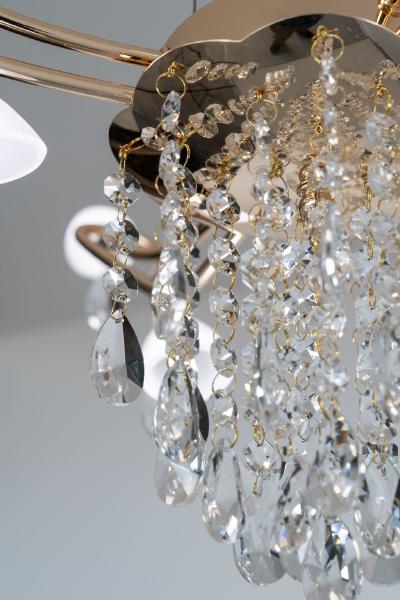 Подвесная люстра Venezia CN817G/L8