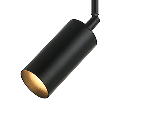 Светильник потолочный Рия 07621-1,19