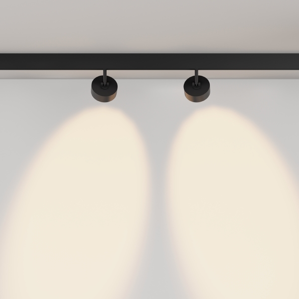 Трековый светильник Lens TR217-2-15W3K-B