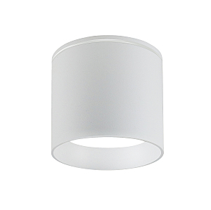 Уличный потолочный светильник Fantum 4662-1U