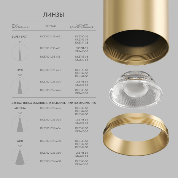 Накладной светильник SHINE TUBE DK2610-SB