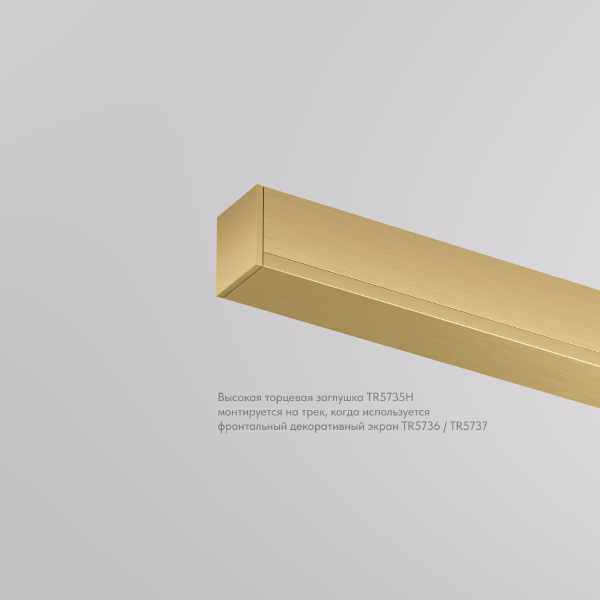 Заглушка SHINE BASE TR5735H-SB