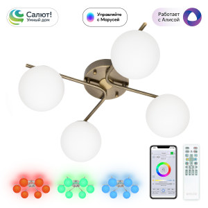 Потолочная люстра Адам Смарт CL228A143