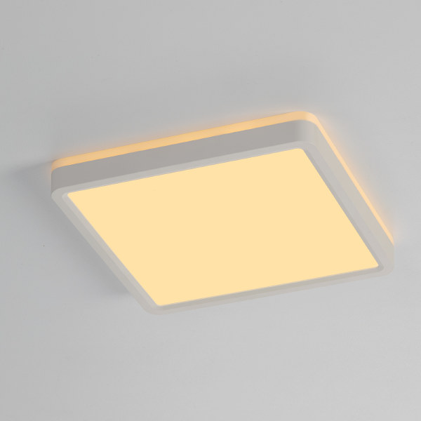 Светильник потолочный Norma CL748K200