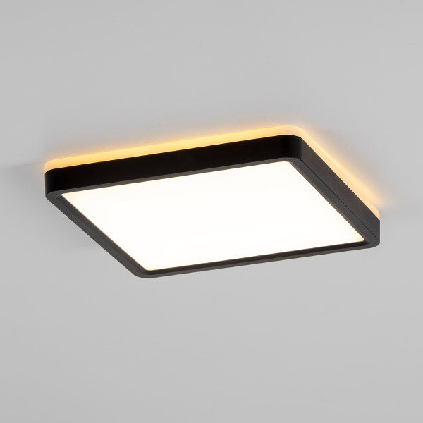 Светильник потолочный Norma CL748K201