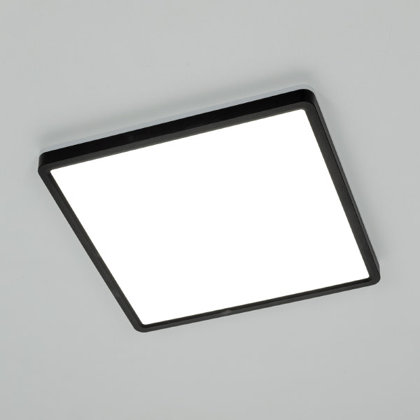 Светильник потолочный Norma CL748K301