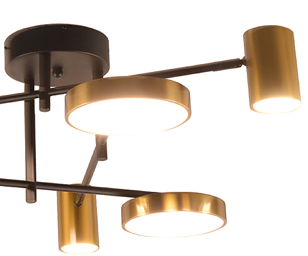 Потолочная люстра Рапис 07645-6D,19(20)