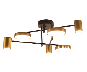 Потолочная люстра Рапис 07645-6D,19(20)