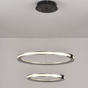 Подвесная люстра Vision 9225-6+4SD GR+BK