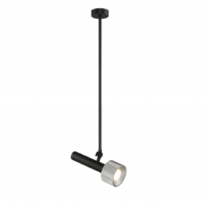 Светильник потолочный Delta 2361-1 BK+SL