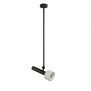 Светильник потолочный Delta 2361-1 BK+WH