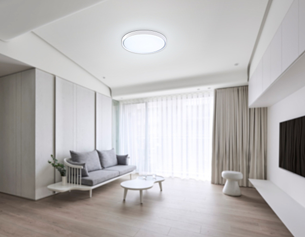 Светильник потолочный Air FZ1246