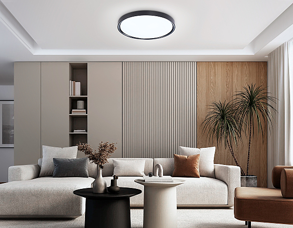 Светильник потолочный Air FZ1248