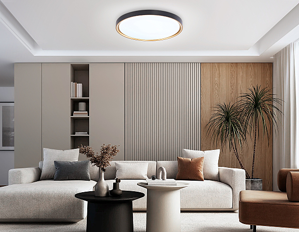 Светильник потолочный Air FZ1249