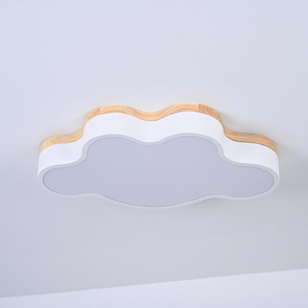 Светильник потолочный Cloud-Eco01 189500-26