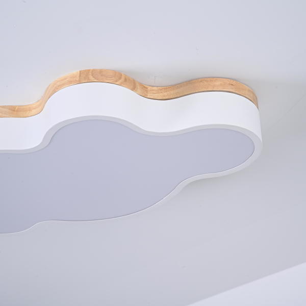 Светильник потолочный Cloud-Eco01 189500-26