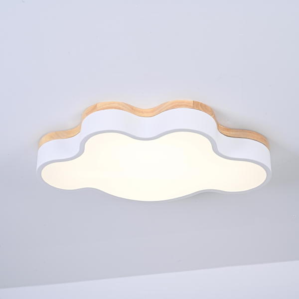 Светильник потолочный Cloud-Eco01 189500-26