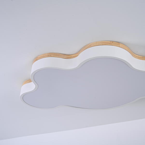 Светильник потолочный Cloud-Eco01 189502-26