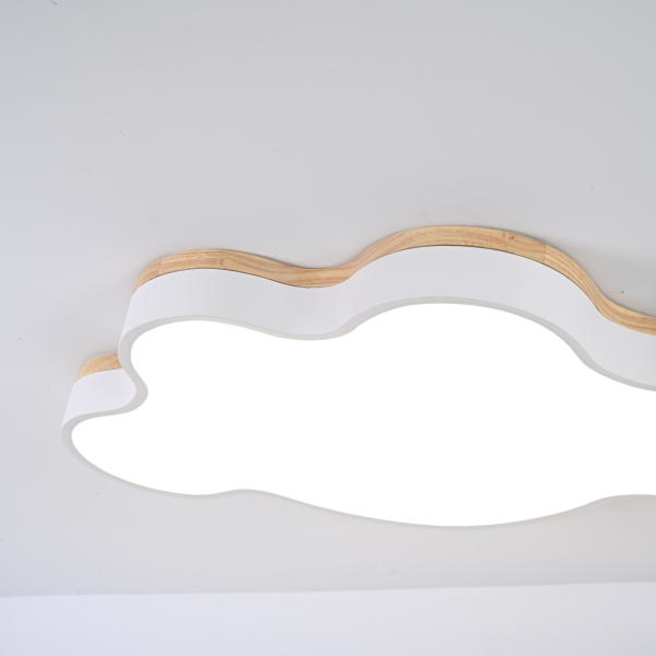 Светильник потолочный Cloud-Eco01 189502-26