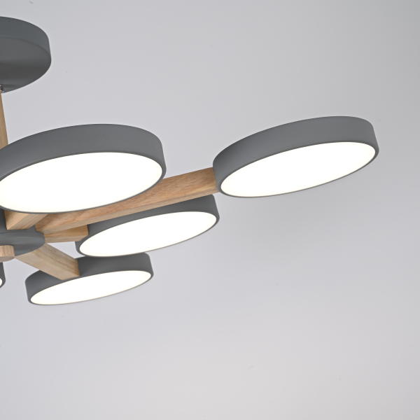 Потолочная люстра Turna-B01 228857-26