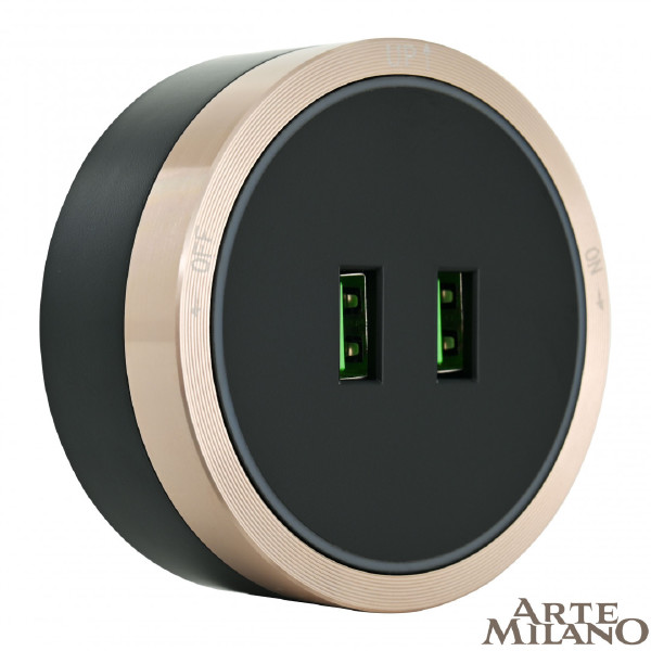 Трековая розетка Am-track-sockets 380066TS LED/USBx2 Gold