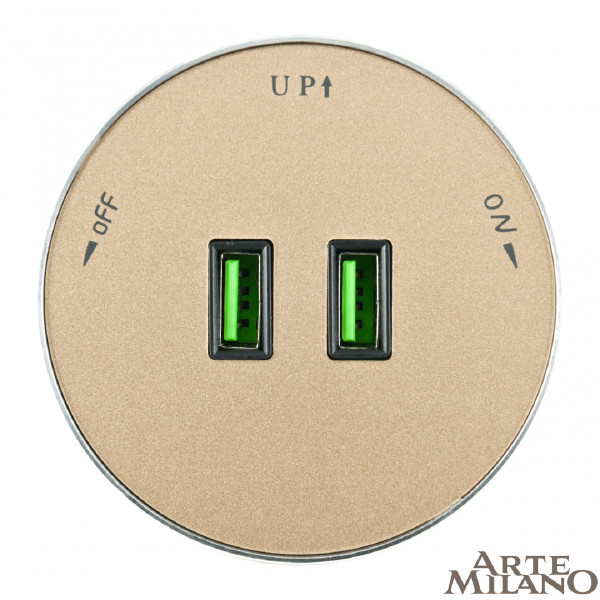 Трековая розетка Am-track-sockets 380011TS/USBx2 Gold