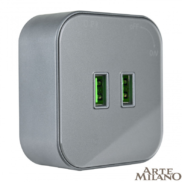 Трековая розетка Am-track-sockets 380022TS/USBx2 Grey